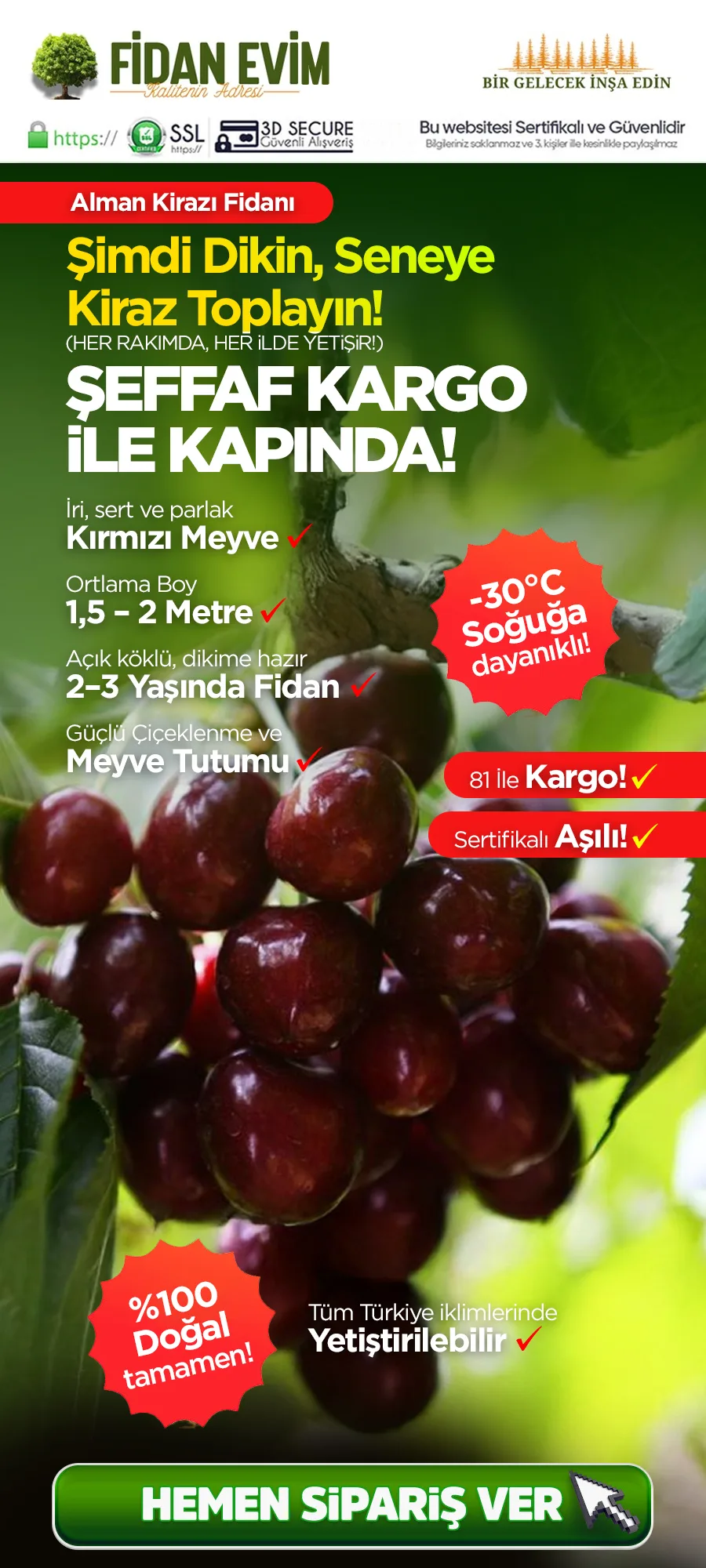 almankirazo kopya.jpg 1