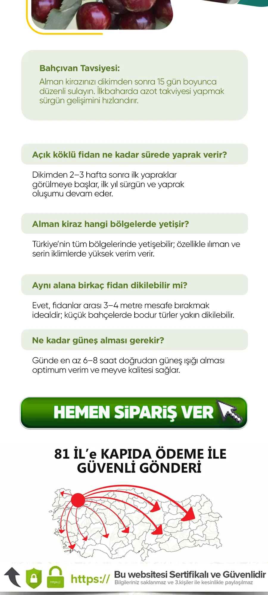 almankirazo kopya.jpg 5